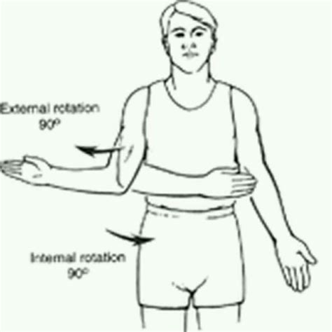 Internal Rotation By Silas Eisenback Exercise How To Skimble
