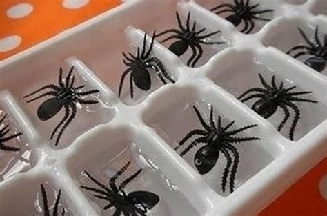 Güzel bir şekilde bisküvileri kapatıp ambalajına koyduktan bir arkadaşınıza ikram edin. En güzel 1 Nisan şakaları - Yaşam Güncel Haberler