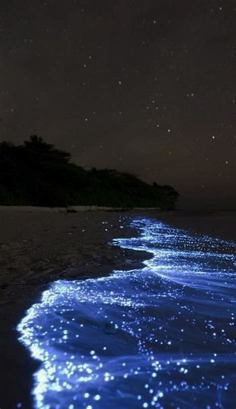Sea Of Stars Maldives Hd Wallpaper