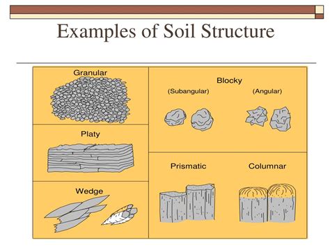 Ppt Soil Types And Textures Powerpoint Presentation Free Download