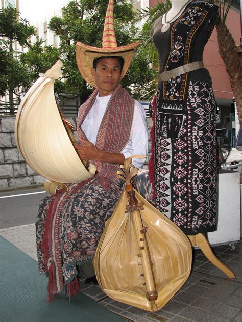 Sudah sejak lama sekali, dari mulai zaman dahulu sampai zaman modern namun jika kita lihat dari fungsi alat musik, ada 3 kelompok jenis alat musik, yakni alat musik ritmis, alat musik harmonis dan alat musik melodis. Beberapa Alat Musik Harmonis di Indonesia