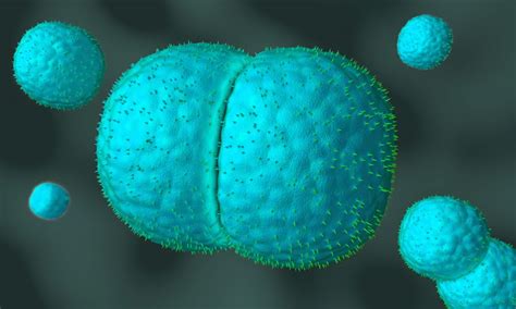 An Increase In The Number Of Enteroviral Meningitis Cases Nicd