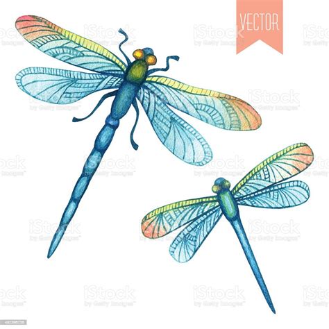Watercolor Set Of Dragonflies Stock Illustration Download Image Now
