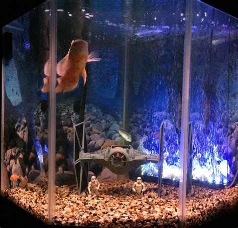 Star Wars Fish Tank Fish Tank Fish Tank Themes Aquarium Setup