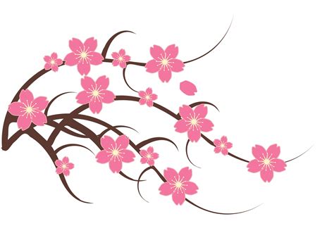 Kirschblüten Clipart Illustration Kostenloses Stock Bild Public