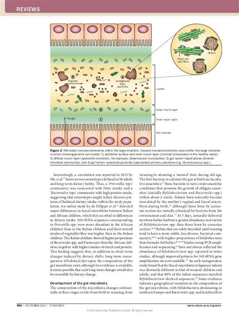 The Role Of The Gut Microbiota In Nutrition And Health