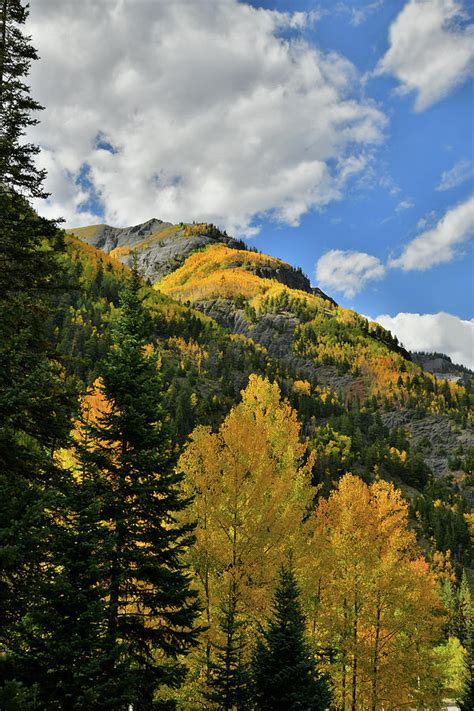 Fall Colors Above Ouray Colorado Photograph By Ray Mathis Fine Art
