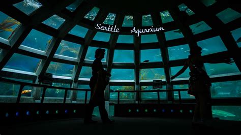 Exploring The Seattle Aquarium Youtube