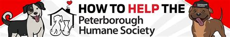Peterborough Humane Society Peterborough Mitsubishi