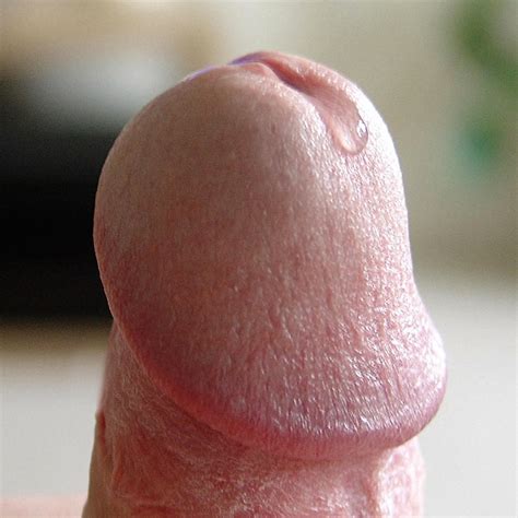 The Beauty Of A Mans Erect Penis 37 Pics Xhamster