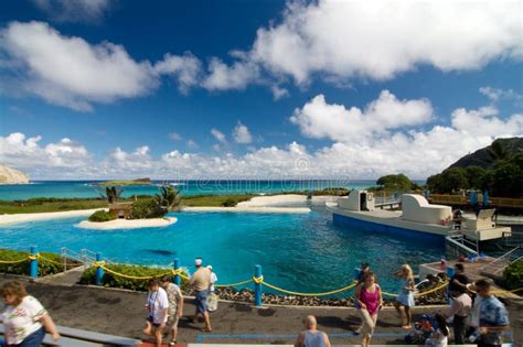 Sea Life Park Hawaii Editorial Photography Image Of Scene 17476862