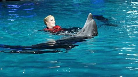Žvaigždės ir delfinai pirmą kartą pasirodė prieš kameras LRT