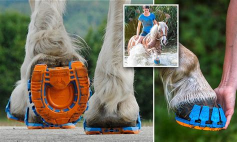 The Running Shoes For Horses Clip On Plastic Covers Could Make For