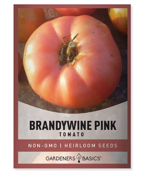 Brandywine Pink Tomato Seeds Gardeners Basics