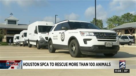 Houston Spca To Rescue More Than 100 Animals Youtube