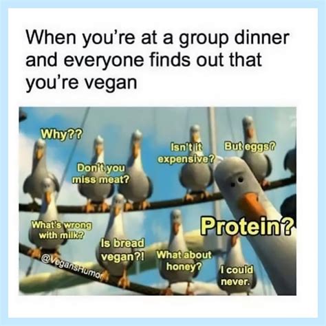 16 relatable funny vegan memes to share vegnews