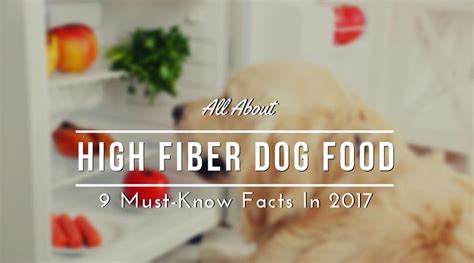 All About High Fiber Dog Food 9 Must Know Facts In 2019