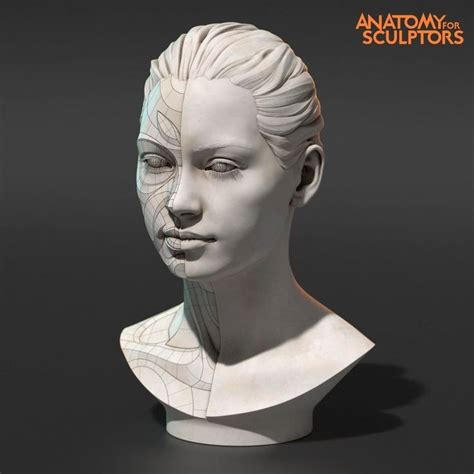 Anatomy For Sculptors On Instagram “360 Degree Video Of The 3d Model