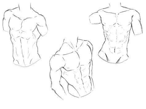 Top More Than 69 Anime Abs Drawing Best Vn