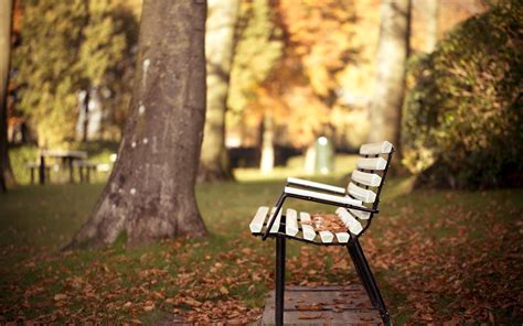 4k Benches Wallpapers High Quality Download Free