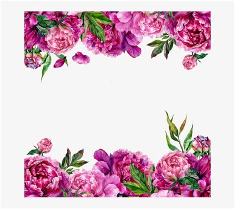 Purple And Pink Border