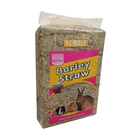 Pettex Barley Straw Xl Bale Bedding Hugglepets