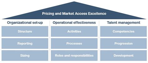 Organization Of The Pricing And Market Access Function In Pharma