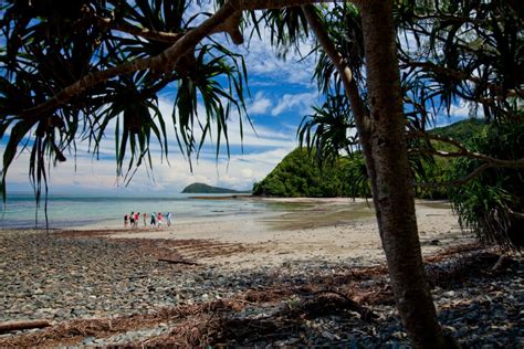 Cape Tribulation Daintree And Mossman Gorge Guided Tour Departs Cairns