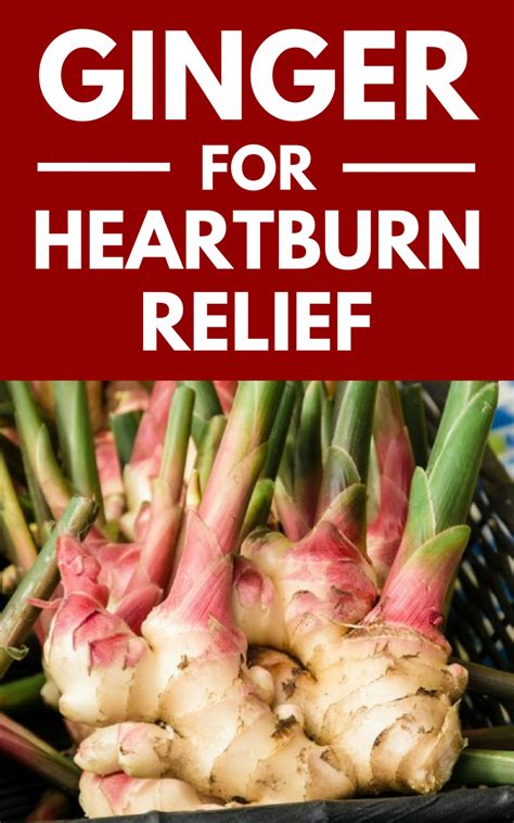 Ginger For Heartburn Relief Natural Remedies For Heartburn Heartburn