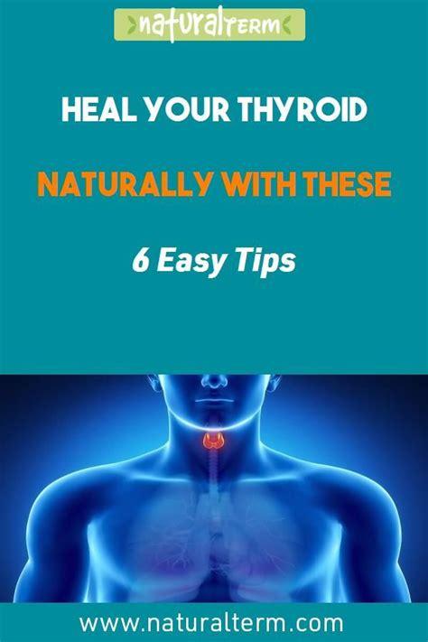 Heal Your Thyroid Naturally With These 6 Easy Tips Thyroid Stress