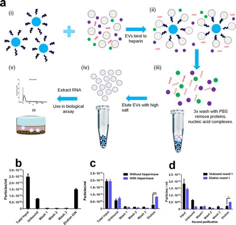 Heparin Affinity Purification Of Extracellular Vesicles Exosome RNA