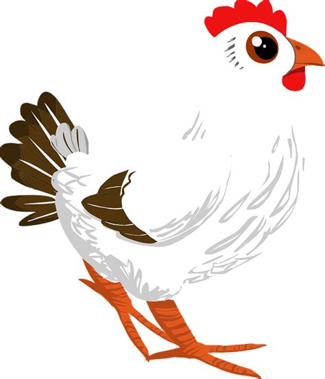 Rooster Cock Poultry · Free Vector Graphic On Pixabay