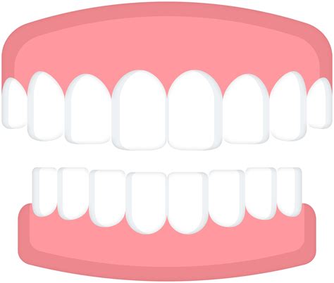 3d White Tooth Png Clip Art Best Web Clipart