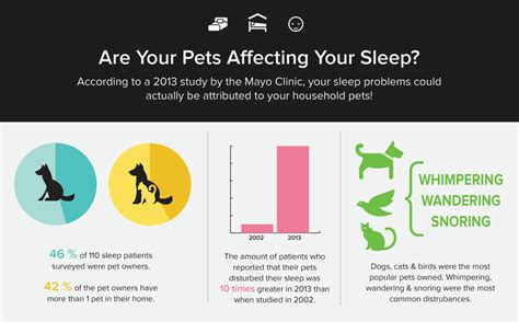 The Link Between Sleep Disorders And Your House Pets