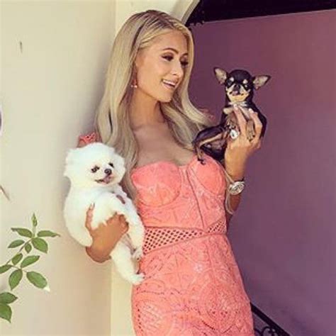 Kylie Jenner Paris Hilton And More Stars Who Have Luxurious Pet Homes
