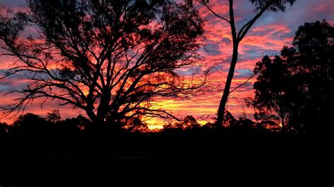 Backyard Sunset In Canberra Australia Canberra Australia Sunset