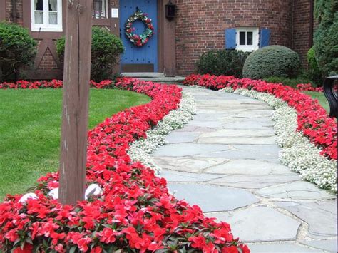 Free flower border template that can be customized online and then downloaded or printed at home. Alyssum Branco - Flor de Mel