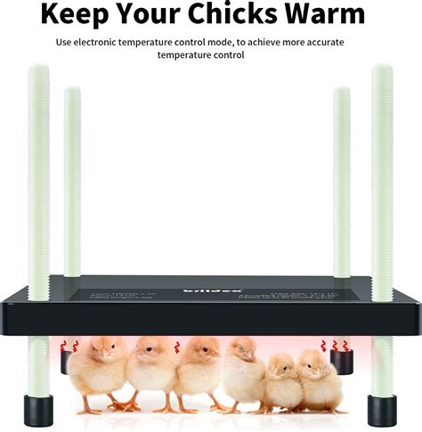 Buy Briidea Chicks Heating Plate 12 12 Chick Brooders With