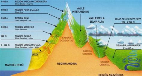 Regiones Naturales Del Per Primer Grado Primeros Grados Per Grado The