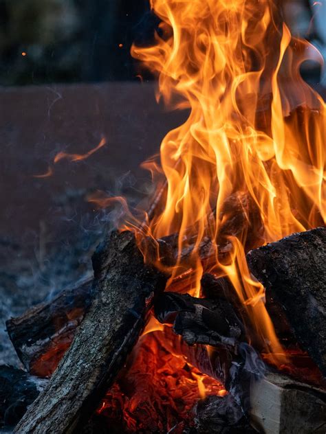 Bonfire Flame Fire Evening Firewood Hd Phone Wallpaper Peakpx