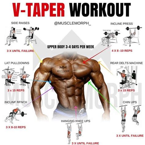 Looking To Develop The V Taper Try This Workout And Follow Musclemorph