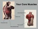 Outer Core Muscles