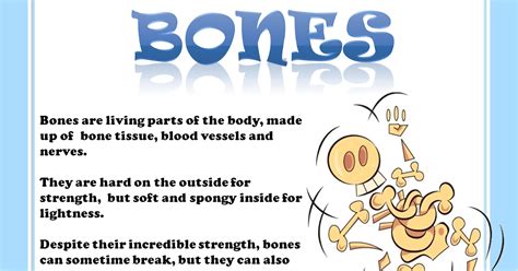 Kids Bones
