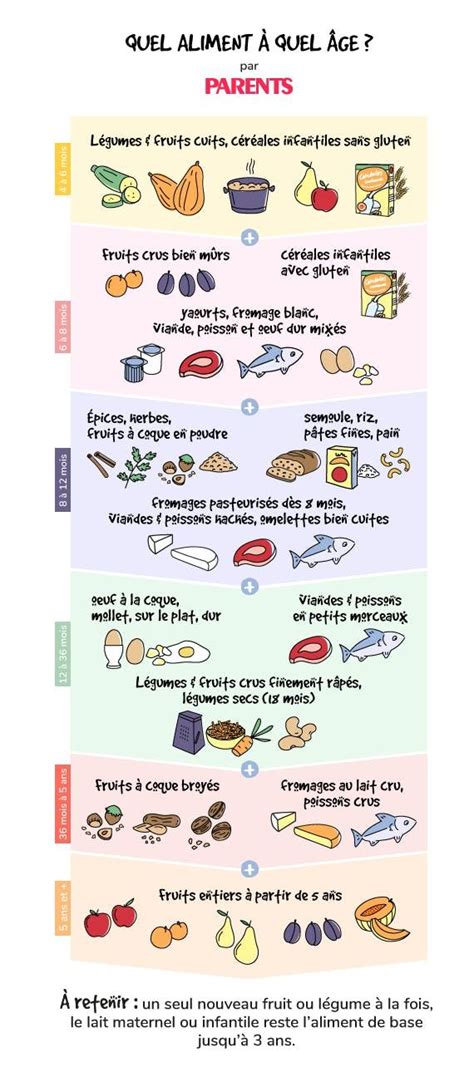 Alimentation du bébé quel aliment à quel âge Diversification