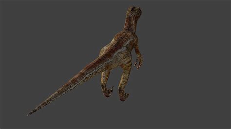Velociraptor Free Vr Ar Low Poly 3d Model Rigged