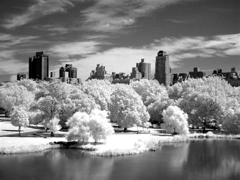 Central Park Infrared