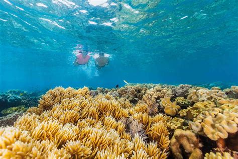 Can Indigenous Tourism Protect The Great Barrier Reef