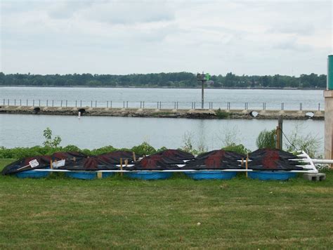 Stream Mesocosms Great Lakes Center Suny Buffalo State University