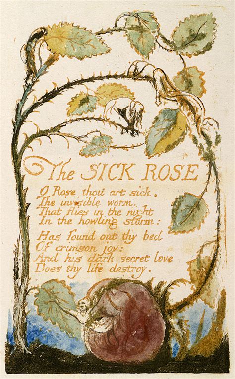 Opening A Can Of Invisible Worms Blake’s Use Of Metaphor In “the Sick Rose” Hell’s Printing