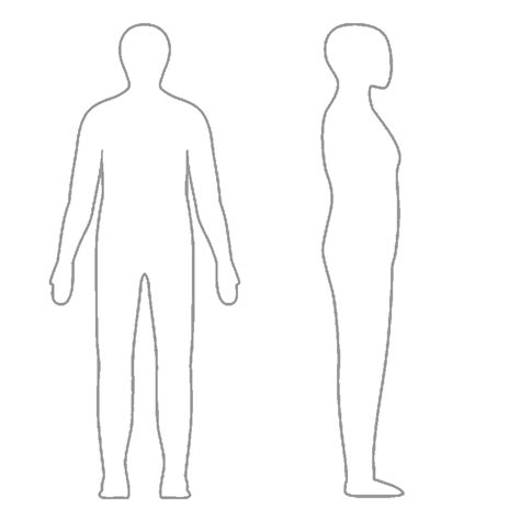 Human Body Line Drawing At Explore Collection Of